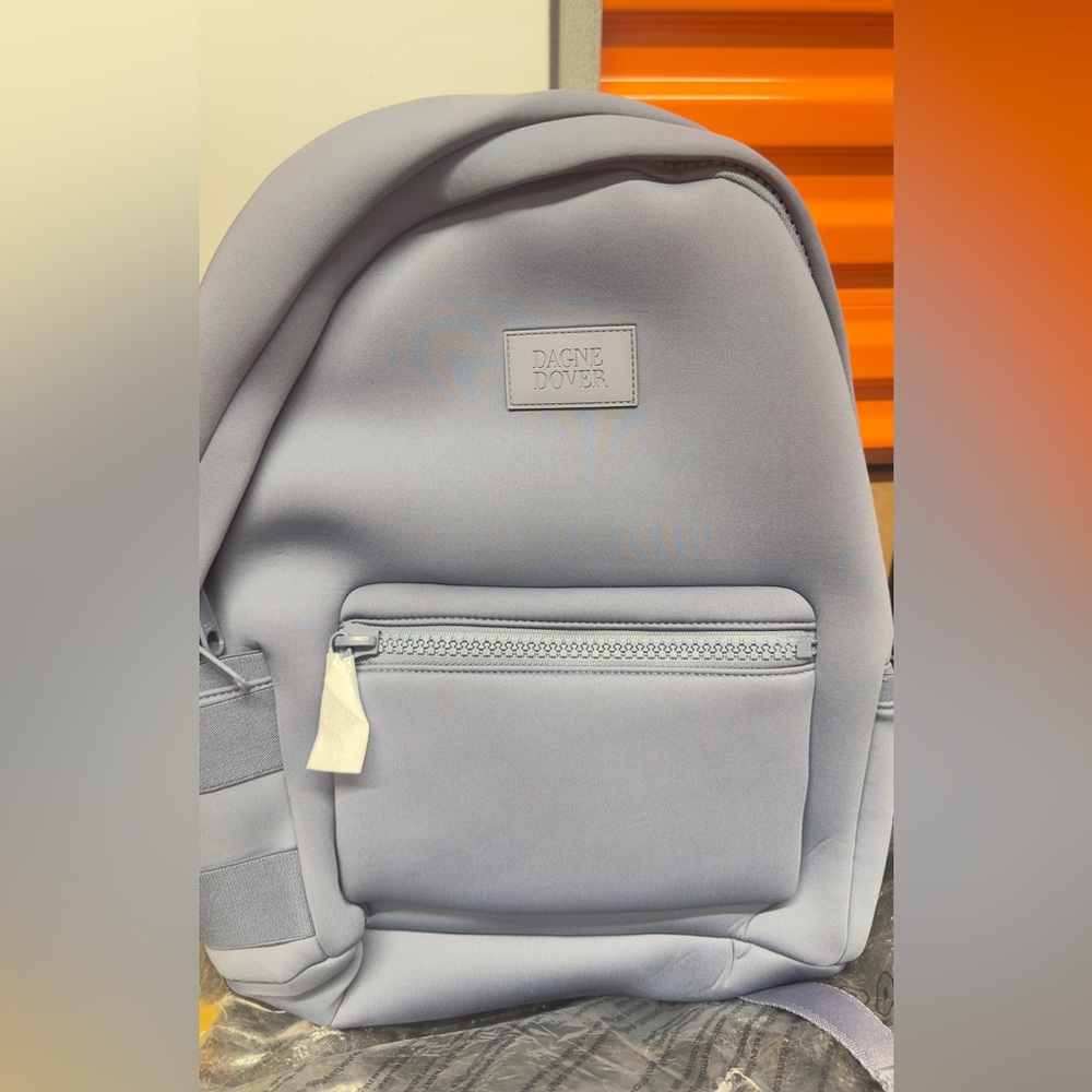 Dagne Dover Sleek Gray Backpack